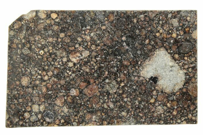 LL Chondrite Meteorite ( g) Slice - NWA #291403